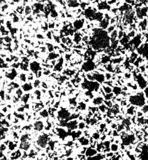 Steel properly annealed: ferrite and perlite uniform and fine