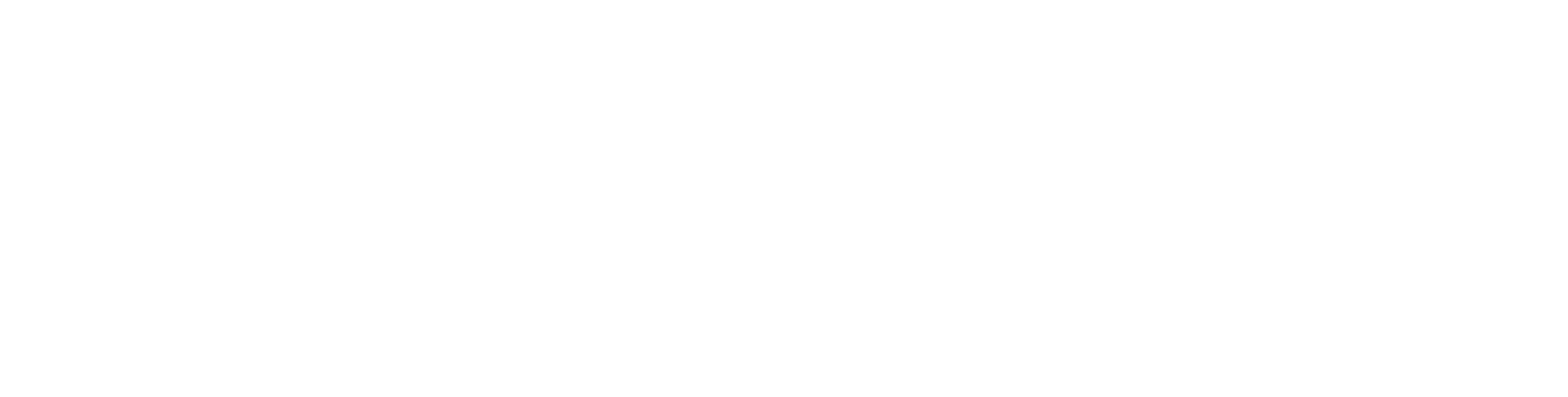 Logo STC