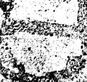 Heated to 1050°C and quenched in water, large grains