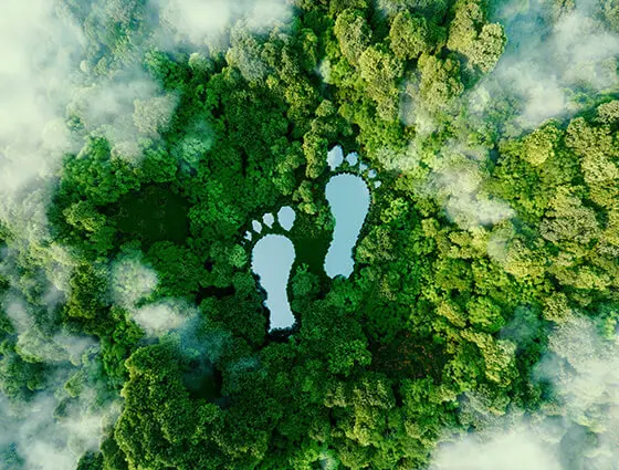Carbon Footprint 1