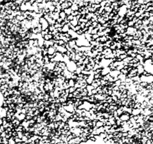 Cementite globules in properly hot-worked steel