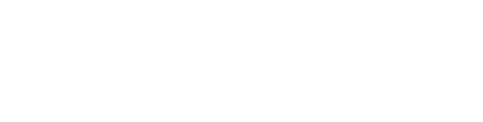 Logo Oasys