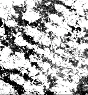 Steel imperfectly annealed ferrite formed in masses outlining original cast structure