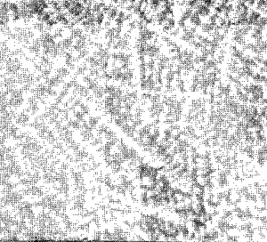Macro-structure of cast steel revealing large primary austenite crystals